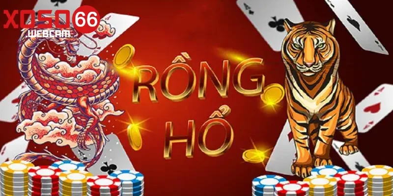 Rồng Hổ Xoso66 Cách đặt cược và những lưu ý rồng hổ Xoso66