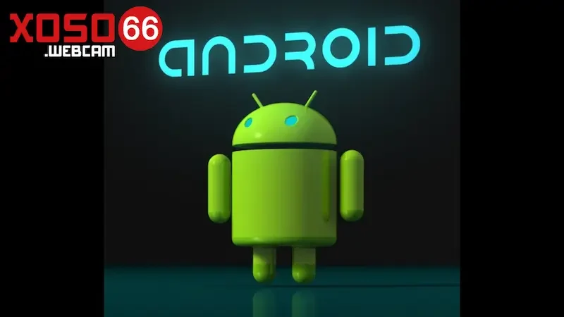 Hướng dẫn các bước tải về Android Hướng dẫn các bước tải về Android