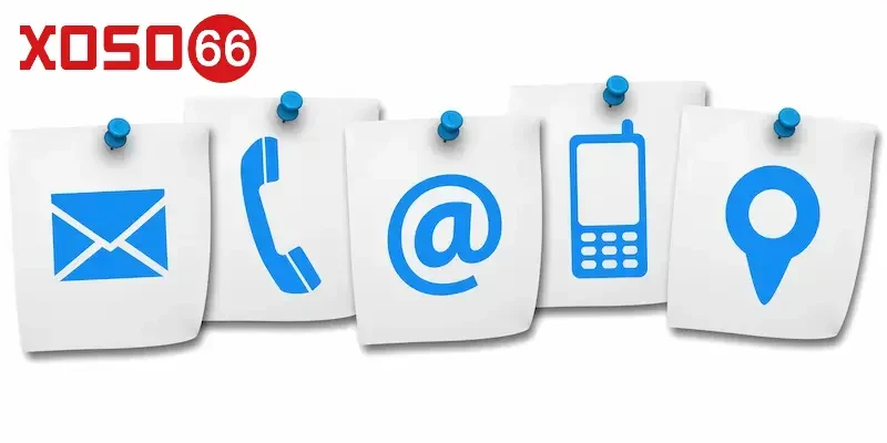 Lý do cần kết nối với Xoso66