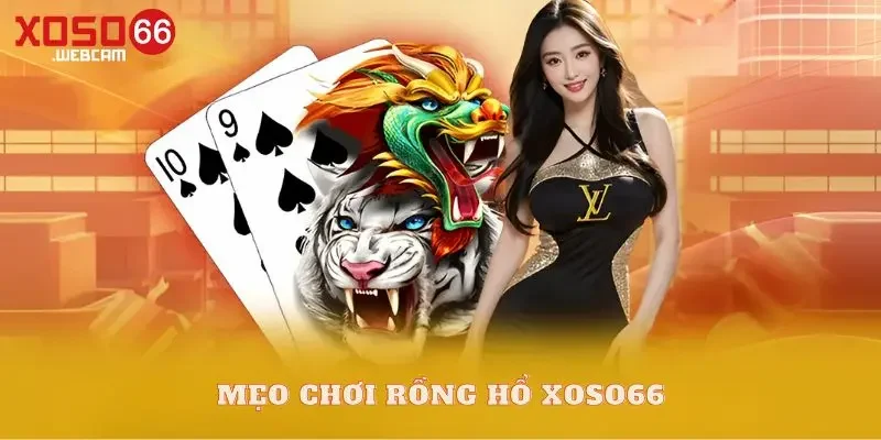 Rồng Hổ Xoso66 Mẹo chơi Rồng Hổ Xoso66 thắng đậm