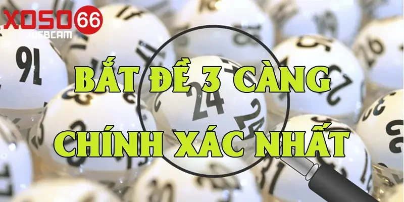 Lô Đề 3 Càng Xoso66 Tỷ lệ trả thưởng và những lưu ý lô đề 3 càng Xoso66