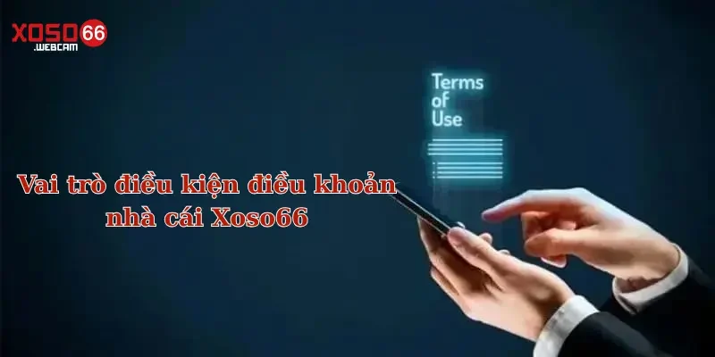 Điều khoản sử dụng